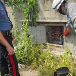 Blitz Dei Carabinieri A Fiumicino: Sette Denunciati Per Furto Di Energia E Altre Irregolarità