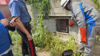 Blitz Dei Carabinieri A Fiumic