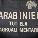 Carni ovine dall’Est Europa macellate in Italia e spacciate per Abbacchio Romano IGP: indagine a Frusinate