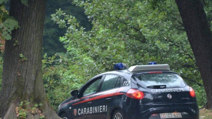 Donna 42Enne Denunciata Per Ag
