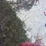 Donna Salvata A Cala Mariolu Nel Golfo Di Orosei Dopo Essersi Persa In Zona Impervia