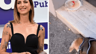 Ema Stokholma Denuncia Degrado