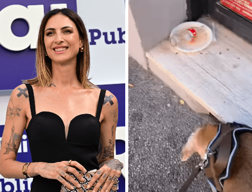 Ema Stokholma Denuncia Degrado