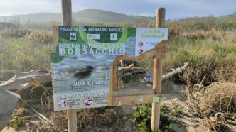 Grave Episodio Di Vandalismo N
