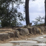 Il rilancio della Via Appia Antica: turismo lento e sviluppo in Terra Di Lavoro per il 2025
