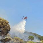 Incendio di vaste dimensioni a Priverno in località Maccalè: fiamme devastano 50 ettari di vegetazione