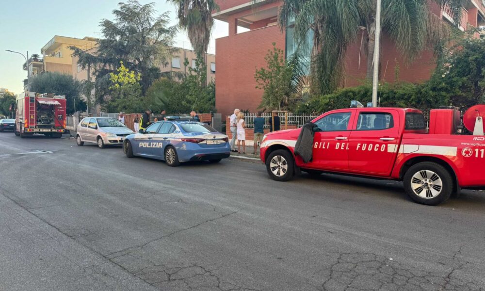 Incendio Distrugge Appartament