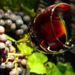 La Sagra Dell’uva E Del Vino Dei Colli Ceriti Torna A Cerveteri Con 62Esima Edizione E Piazza Del Vino Sotto Le Stelle