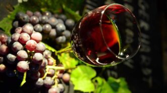 La Sagra Delle28099Uva E Del Vino D