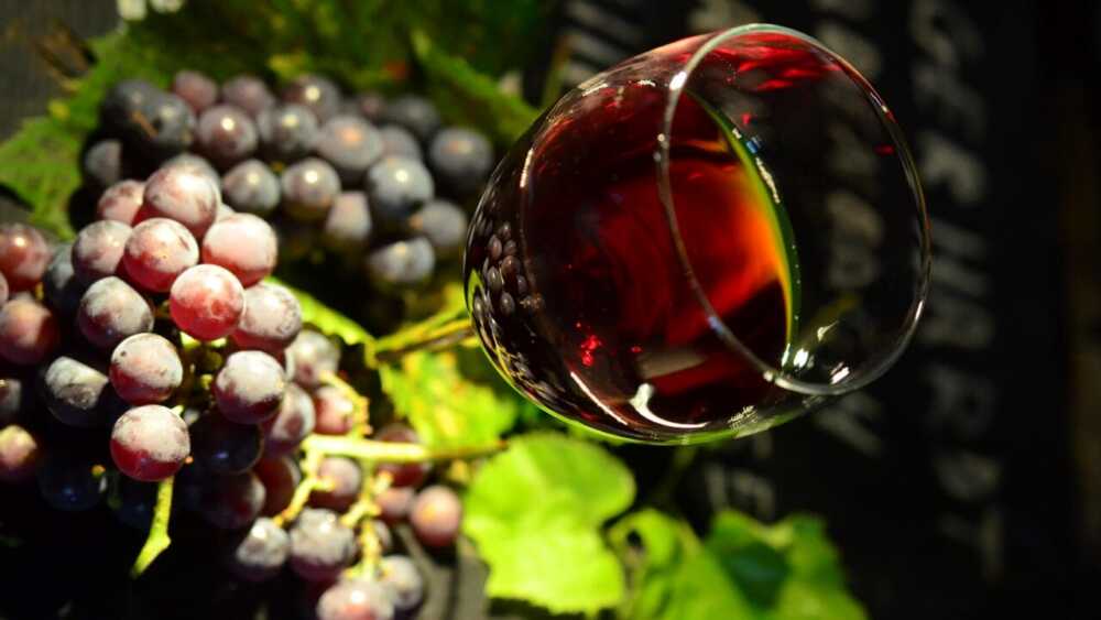 La Sagra Delle28099Uva E Del Vino D