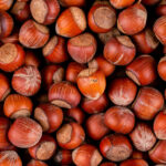 La Campania In Difficoltà: La Crisi Della Produzione Di Nocciole Nella Campagna 2025