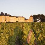 La storia millenaria e l’evoluzione dello château d’yquem, simbolo del vino dolce di bordeaux