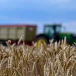 Morto Un Ragazzo Di 15 Anni Schiacciato Da Un Trattore Nell’azienda Agricola Di Famiglia Vicino Ragusa