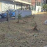 Napoli, Prosegue Il Piano Per Il Decoro Urbano Nelle Periferie Con Interventi Mirati Nelle Aree Sensibili