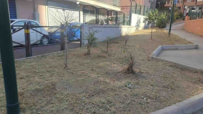 Napoli2C Prosegue Il Piano Per