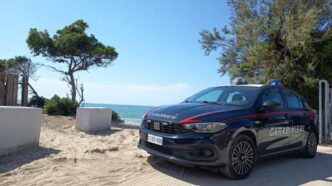 Neonato Salvato Sul Lungomare