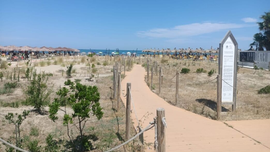 Pescara2C Criticitc3A0 Nella Gesti