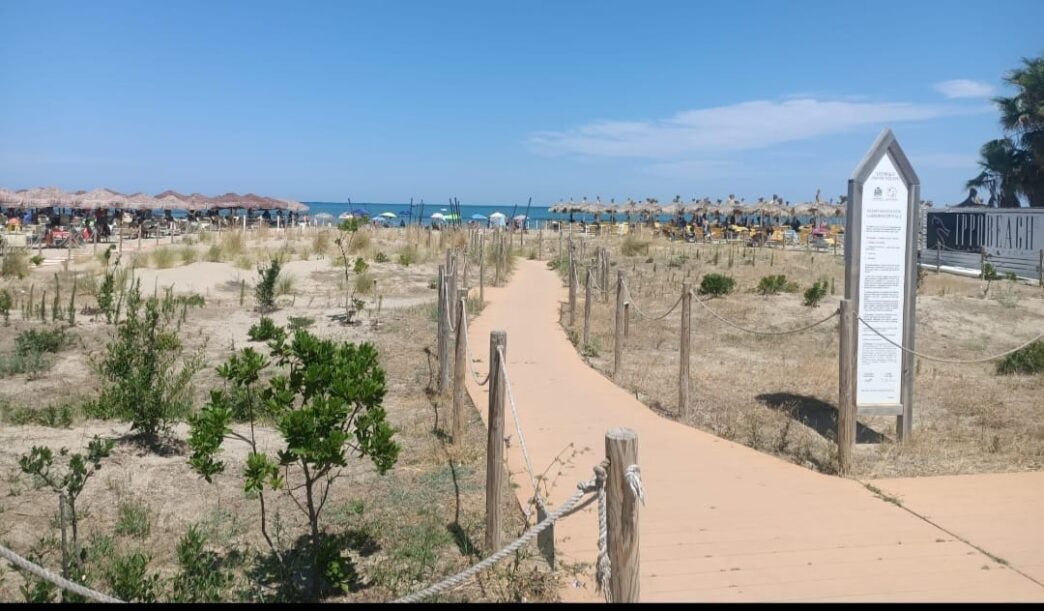Pescara2C Criticitc3A0 Nella Gesti