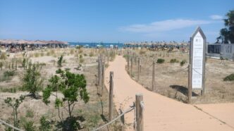 Pescara2C Criticitc3A0 Nella Gesti