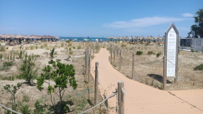 Pescara2C Criticitc3A0 Nella Gesti