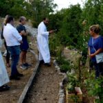 Piantumate Talee Di Rose Antiche E Sacre Nel Giardino Vicino Al Santuario Della Madonna Delle Rose A Torricella Peligna