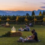 Pic-nic enogastronomici in Friuli Venezia Giulia: degustazioni tra vini doc, uliveti e dimore storiche