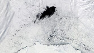 Polinia Di Maud Rise2C Il Fenom