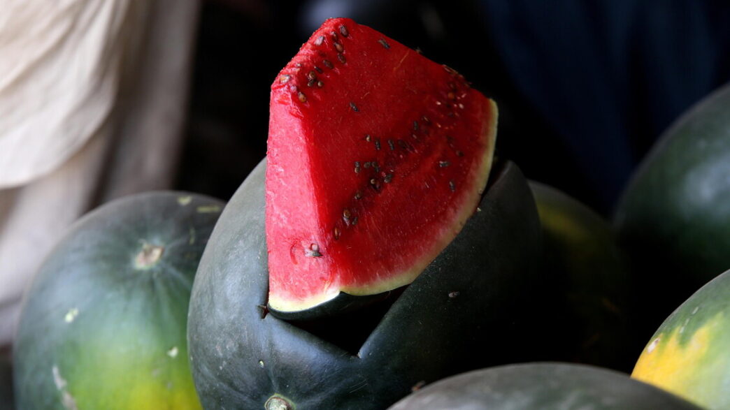 Prezzi In Calo Per Frutta2C Ver