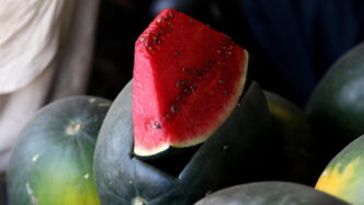 Prezzi In Calo Per Frutta2C Ver