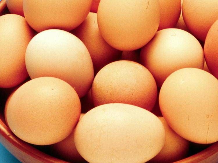Salmonella Negli Usa3A 14 Stati