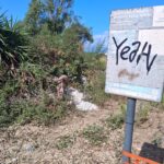 Santa Marinella, Il Santuario Etrusco Di Punta Della Vipera Ancora Vittima Di Vandalismi E Abbandono