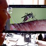 Sette Casi Confermati Di Virus West Nile In Sardegna Nel 2025, L’italia Tra I Paesi Europei Più Colpiti