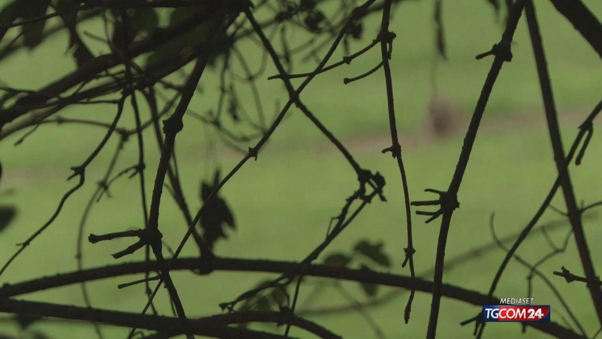 Spari E Tensione Al Parco Dei