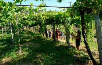 Tivoli Inaugura La Strada Del