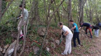 Tornareccio3A Riparte Il Campo