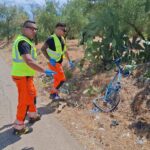 Tre Ciclisti Morti Travolti Da Un’auto Sulla Provinciale 231 Vicino A Terlizzi: Indagini E Reazioni