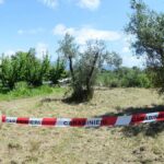 Ultraleggero precipita nel Vercellese: morti un controllore di volo e la figlia