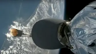 Un Batterio Patogeno In Viaggi