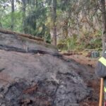 Vasto incendio a Beura Cardezza: fiamme minacciano case, vigili del fuoco e Aib impegnati per oltre 24 ore