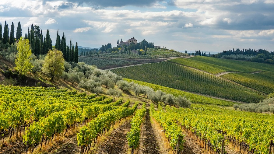 Vendemmia 20252C Tour Enogastro