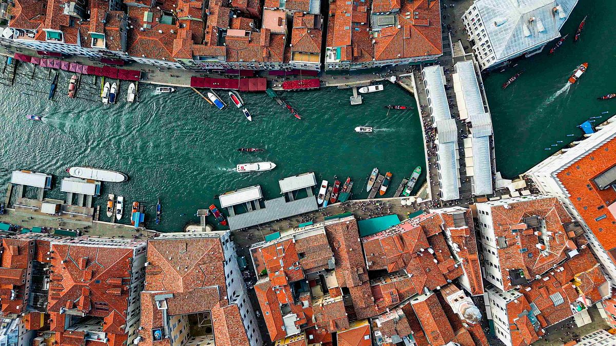 Venezia E Il Festival Del Cine