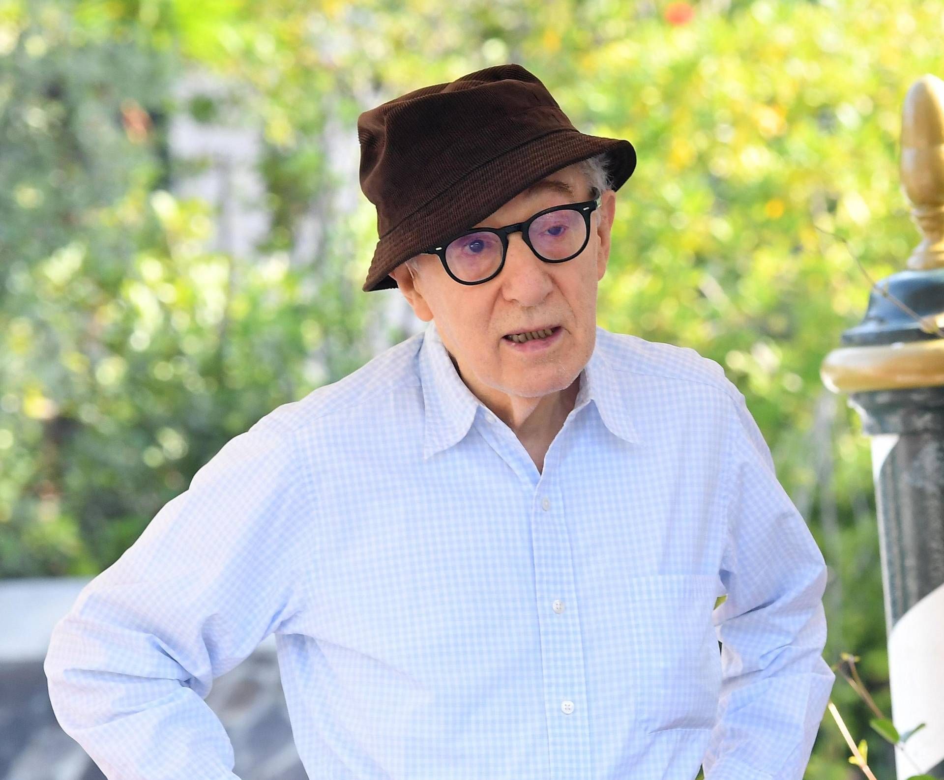 Woody Allen Nel Mirino Dei Tea