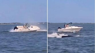 Scontro Tra Balena E Barca A B