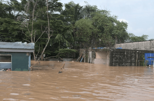 Sei Morti In Thailandia Per La