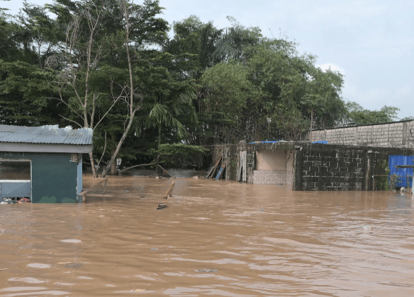 Sei Morti In Thailandia Per La