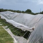 Violento Temporale Colpisce La Costa Di Chieti Con Grandine E Danni Alle Colture Agricole