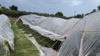 Violento Temporale Colpisce La