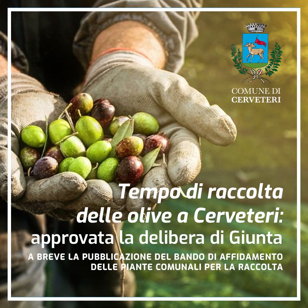 A Cerveteri In Arrivo Il Bando