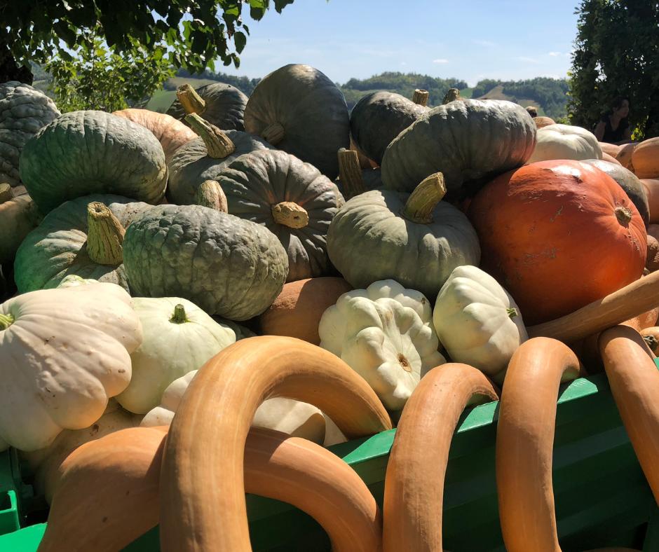 A Ostellato Torna E2809Czucca In Fe