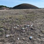 Amori Sporcaccioni E Rifiuti Nella Necropoli Della Banditaccia A Cerveteri: Un Fenomeno Che Persiste